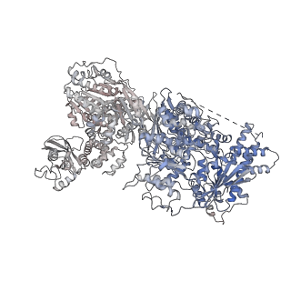 30875_7dvq_D_v1-0
Cryo-EM Structure of the Activated Human Minor Spliceosome (minor Bact Complex)