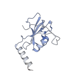 30875_7dvq_I_v1-0
Cryo-EM Structure of the Activated Human Minor Spliceosome (minor Bact Complex)