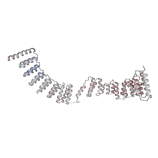 30875_7dvq_J_v1-0
Cryo-EM Structure of the Activated Human Minor Spliceosome (minor Bact Complex)