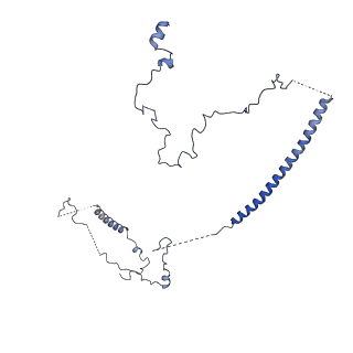 30875_7dvq_R_v1-0
Cryo-EM Structure of the Activated Human Minor Spliceosome (minor Bact Complex)