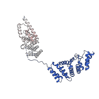 30875_7dvq_V_v1-0
Cryo-EM Structure of the Activated Human Minor Spliceosome (minor Bact Complex)