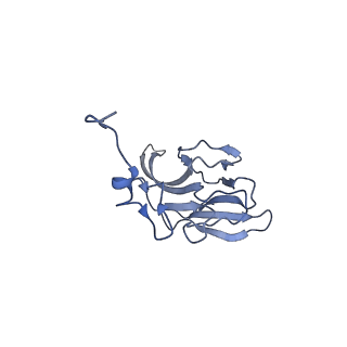 30875_7dvq_X_v1-0
Cryo-EM Structure of the Activated Human Minor Spliceosome (minor Bact Complex)
