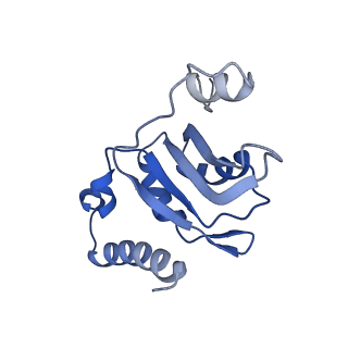30875_7dvq_Y_v1-0
Cryo-EM Structure of the Activated Human Minor Spliceosome (minor Bact Complex)