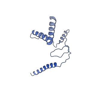 30875_7dvq_Z_v1-0
Cryo-EM Structure of the Activated Human Minor Spliceosome (minor Bact Complex)
