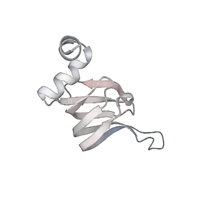 30875_7dvq_d_v1-0
Cryo-EM Structure of the Activated Human Minor Spliceosome (minor Bact Complex)