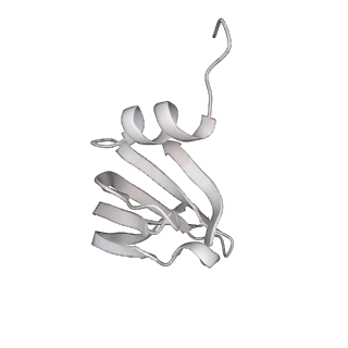 30875_7dvq_f_v1-0
Cryo-EM Structure of the Activated Human Minor Spliceosome (minor Bact Complex)