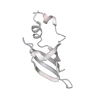 30875_7dvq_j_v1-0
Cryo-EM Structure of the Activated Human Minor Spliceosome (minor Bact Complex)