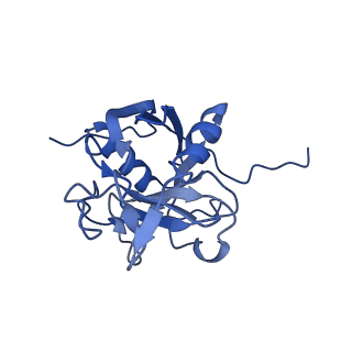 30875_7dvq_z_v1-0
Cryo-EM Structure of the Activated Human Minor Spliceosome (minor Bact Complex)