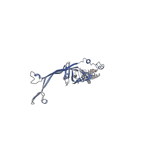 8914_6dv3_B_v1-2
Structure of the Salmonella SPI-1 type III secretion injectisome secretin InvG in the open gate state