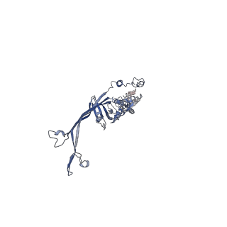 8914_6dv3_C_v1-2
Structure of the Salmonella SPI-1 type III secretion injectisome secretin InvG in the open gate state