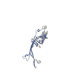 8914_6dv3_D_v1-2
Structure of the Salmonella SPI-1 type III secretion injectisome secretin InvG in the open gate state