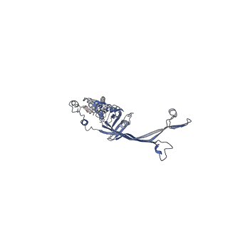 8914_6dv3_H_v1-1
Structure of the Salmonella SPI-1 type III secretion injectisome secretin InvG in the open gate state