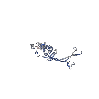 8914_6dv3_H_v1-2
Structure of the Salmonella SPI-1 type III secretion injectisome secretin InvG in the open gate state