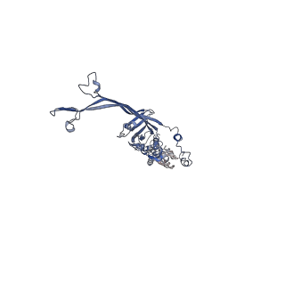 8914_6dv3_O_v1-2
Structure of the Salmonella SPI-1 type III secretion injectisome secretin InvG in the open gate state