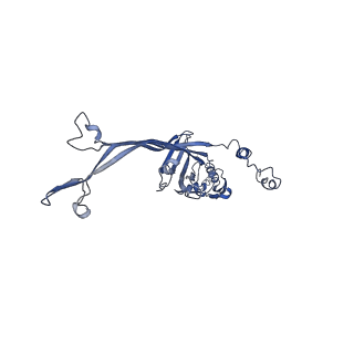 8915_6dv6_A_v1-2
Structure of the Salmonella SPI-1 type III secretion injectisome secretin InvG (residues 176-end) in the open gate state