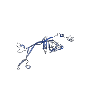 8915_6dv6_B_v1-1
Structure of the Salmonella SPI-1 type III secretion injectisome secretin InvG (residues 176-end) in the open gate state