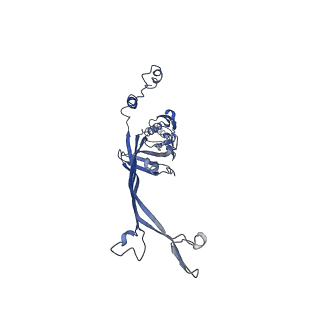 8915_6dv6_E_v1-2
Structure of the Salmonella SPI-1 type III secretion injectisome secretin InvG (residues 176-end) in the open gate state