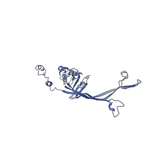 8915_6dv6_H_v1-2
Structure of the Salmonella SPI-1 type III secretion injectisome secretin InvG (residues 176-end) in the open gate state
