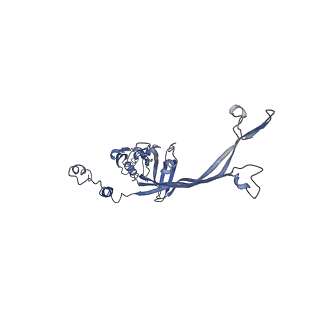 8915_6dv6_I_v1-2
Structure of the Salmonella SPI-1 type III secretion injectisome secretin InvG (residues 176-end) in the open gate state