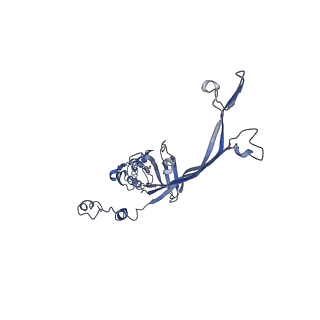 8915_6dv6_J_v1-2
Structure of the Salmonella SPI-1 type III secretion injectisome secretin InvG (residues 176-end) in the open gate state