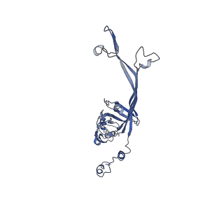 8915_6dv6_L_v1-1
Structure of the Salmonella SPI-1 type III secretion injectisome secretin InvG (residues 176-end) in the open gate state