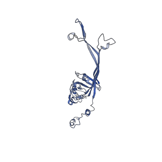 8915_6dv6_L_v1-2
Structure of the Salmonella SPI-1 type III secretion injectisome secretin InvG (residues 176-end) in the open gate state