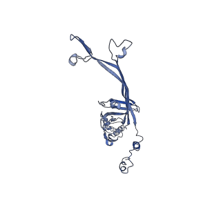 8915_6dv6_M_v1-2
Structure of the Salmonella SPI-1 type III secretion injectisome secretin InvG (residues 176-end) in the open gate state