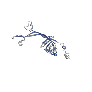 8915_6dv6_O_v1-2
Structure of the Salmonella SPI-1 type III secretion injectisome secretin InvG (residues 176-end) in the open gate state