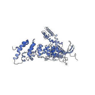 8919_6dvw_A_v1-5
Cryo-EM structure of mouse TRPV3