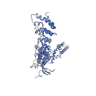 8919_6dvw_B_v1-5
Cryo-EM structure of mouse TRPV3