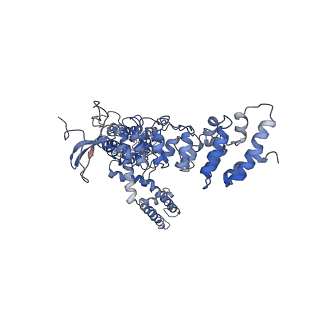 8919_6dvw_C_v1-5
Cryo-EM structure of mouse TRPV3