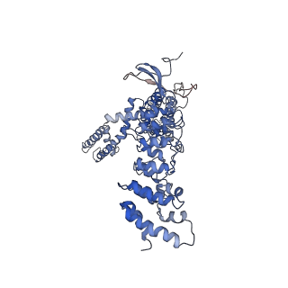 8919_6dvw_D_v1-5
Cryo-EM structure of mouse TRPV3