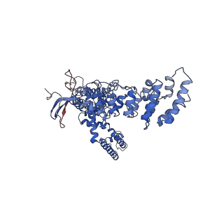 8920_6dvy_A_v1-4
Cryo-EM structure of mouse TRPV3 in complex with 2-Aminoethoxydiphenyl borate (2-APB)