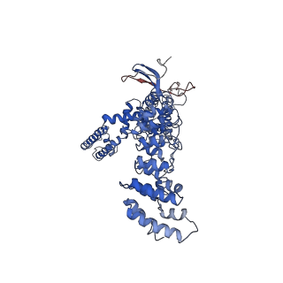 8920_6dvy_B_v1-4
Cryo-EM structure of mouse TRPV3 in complex with 2-Aminoethoxydiphenyl borate (2-APB)