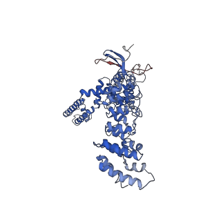 8920_6dvy_B_v1-5
Cryo-EM structure of mouse TRPV3 in complex with 2-Aminoethoxydiphenyl borate (2-APB)