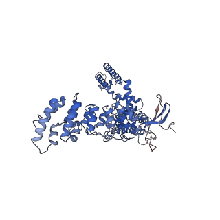 8920_6dvy_C_v1-4
Cryo-EM structure of mouse TRPV3 in complex with 2-Aminoethoxydiphenyl borate (2-APB)
