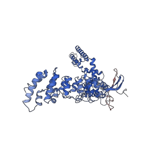 8920_6dvy_C_v1-5
Cryo-EM structure of mouse TRPV3 in complex with 2-Aminoethoxydiphenyl borate (2-APB)