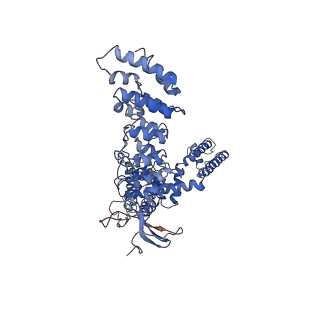 8920_6dvy_D_v1-4
Cryo-EM structure of mouse TRPV3 in complex with 2-Aminoethoxydiphenyl borate (2-APB)