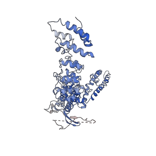 8921_6dvz_A_v1-4
Cryo-EM structure of mouse TRPV3-Y564A in complex with 2-Aminoethoxydiphenyl borate (2-APB)