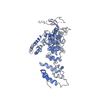 8921_6dvz_C_v1-4
Cryo-EM structure of mouse TRPV3-Y564A in complex with 2-Aminoethoxydiphenyl borate (2-APB)