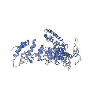 8921_6dvz_D_v1-4
Cryo-EM structure of mouse TRPV3-Y564A in complex with 2-Aminoethoxydiphenyl borate (2-APB)