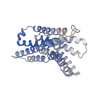 27752_8dwc_R_v1-2
CryoEM structure of Gq-coupled MRGPRX1 with peptide agonist BAM8-22