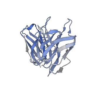 27753_8dwg_E_v1-2
CryoEM structure of Gq-coupled MRGPRX1 with peptide ligand BAM8-22 and positive allosteric modulator ML382
