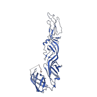 27757_8dwo_A_v1-1
Cryo-EM Structure of Eastern Equine Encephalitis Virus in complex with SKE26 Fab