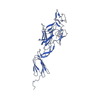27757_8dwo_B_v1-1
Cryo-EM Structure of Eastern Equine Encephalitis Virus in complex with SKE26 Fab
