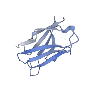 27757_8dwo_T_v1-1
Cryo-EM Structure of Eastern Equine Encephalitis Virus in complex with SKE26 Fab