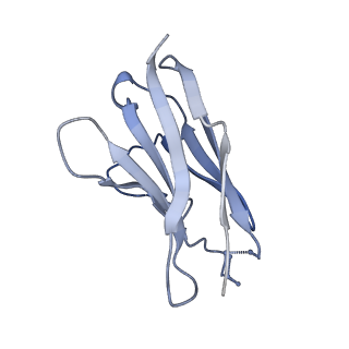 27757_8dwo_V_v1-1
Cryo-EM Structure of Eastern Equine Encephalitis Virus in complex with SKE26 Fab