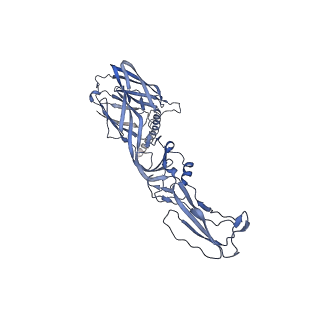 27763_8dww_A_v1-0
Chikungunya VLP in complex with neutralizing Fab 506.A08 (asymmetric unit)