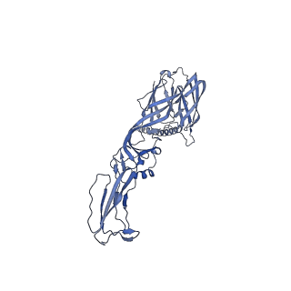 27763_8dww_D_v1-0
Chikungunya VLP in complex with neutralizing Fab 506.A08 (asymmetric unit)