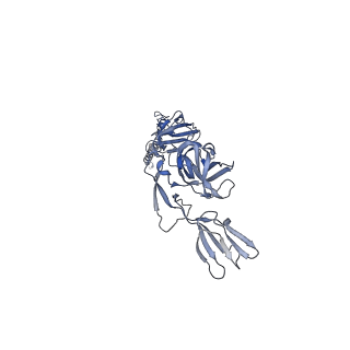 27763_8dww_M_v1-0
Chikungunya VLP in complex with neutralizing Fab 506.A08 (asymmetric unit)